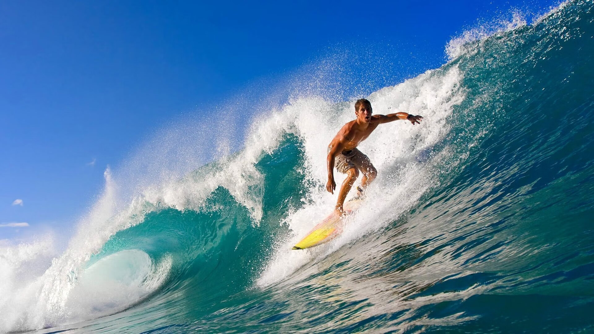 澳大利亚网球：澳网男单冠军，澳洲猛将再登巅峰！，澳大利亚网球公开赛男子单打决赛